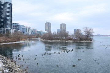  Winter waterfront modern skyline