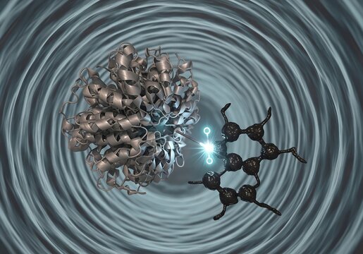 Cytochrome P450 Phase I Drug Metabolism Oxidation Visualization