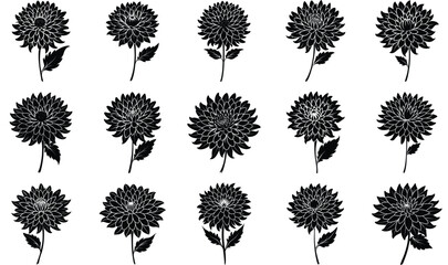 Floral bakground or wallpaper with tender flowers and leaves. Botanical foliage for wedding invitation or wall art. Vector illustration