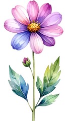Watercolor illustration of a blooming flower with multiple colored petals