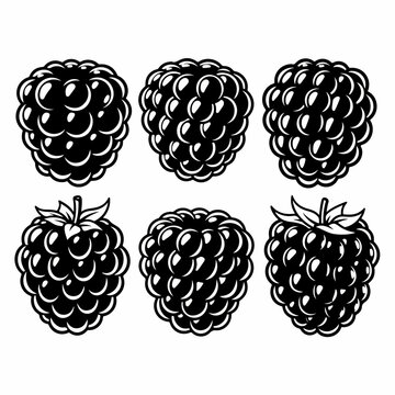 Six stylized black and white vector illustrations of fresh raspberries or blackberries, perfect for vintage logos, icons, or packaging design elements.