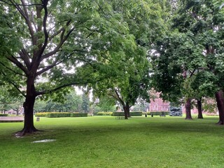 Green city park sunny afternoon