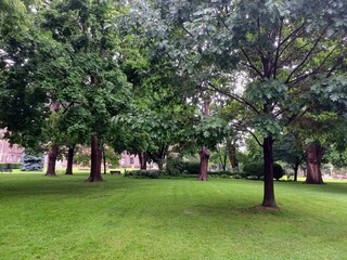 Green city park sunny afternoon