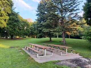 Picnic Tables In Sunny Park