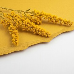 Yellow Flowers on Yellow Background.