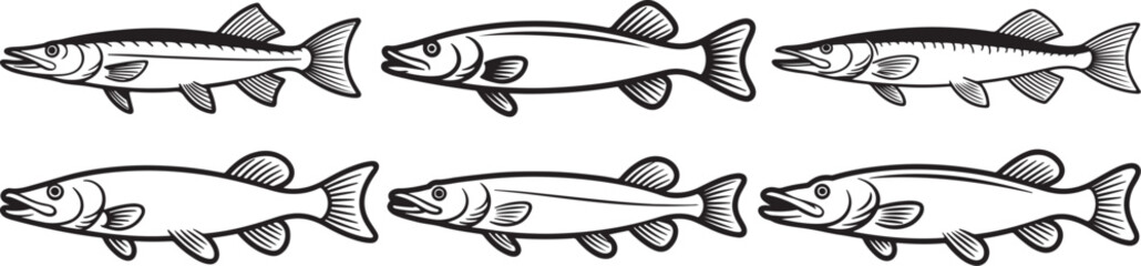 Fototapeta premium Set of Pike Fish Line Art, Coloring Book Page Line Art Drawing, Vector and Illustration