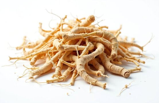 Siberian ginseng roots pile, Eleutherococcus senticosus, isolated on white background. Medicinal herb used in traditional Chinese medicine for health and energy boost.