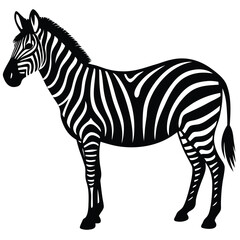 Zebra logo. Isolated zebra on white background
