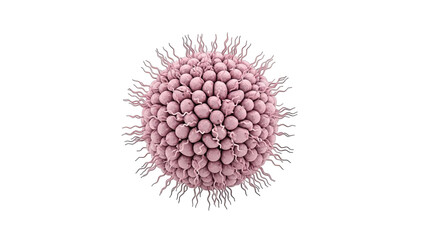 Obraz premium 3D rendering of a pink virus particle with spiky surface