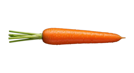 Vibrant carrot laying horizontally with water droplets against a dark background