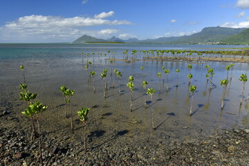La Morne, Mauruitius, East Africa. The beautiful natural coastline of the South West of the island.