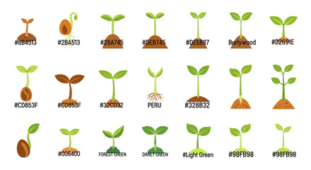Different stages of plant growth with different plant variations illustration © punduh