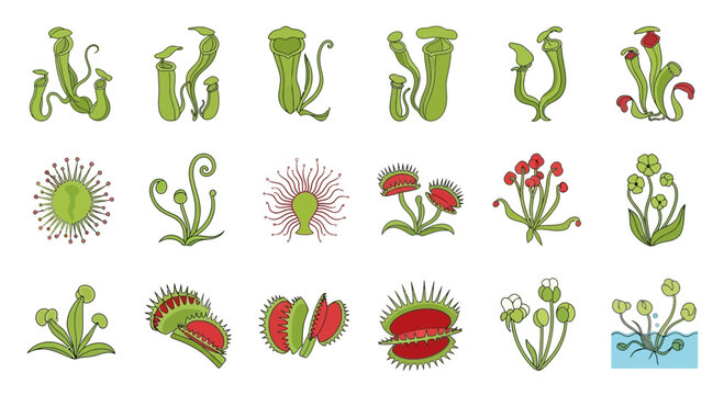 Diverse collection of carnivorous plant illustrations featuring unique trapping mechanisms