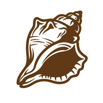 Brown conch shell illustration on white background for design and decoration purposes  ocean and sea related concepts