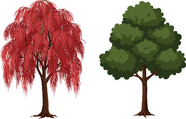 Autumn red willow tree, green tiered foliage tree, nature contrast, seasonal landscape, botanical diversity, tree comparison, forest design inspiration