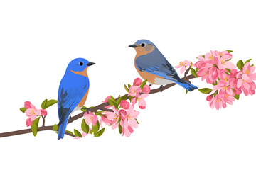 Obraz premium Two bluebirds perched on a blooming branch