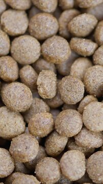 Details on creating dry kibble for dogs and nutrition factors, Comprehensive summary of manufacturing process and nutritional considerations for canine dry food
