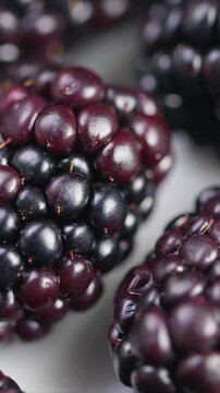 Fresh blackberries highlighted on clean background, Vivid blackberries with glossy drupelets presented against plain white background emphasizing freshness and ripeness