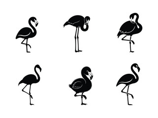 Elegant flamingo silhouettes in various poses capturing the serene beauty of tropical wading birds © Sunnn