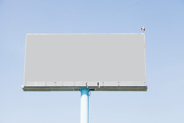 Obraz premium bird-perching-empty-billboard-advertisement-against-blue-sky