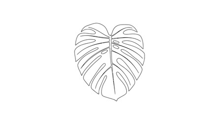line-art illustration of a Monstera leaf.
