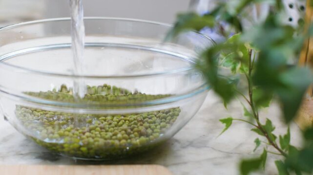 Green gram soaked in water in a glass bowl on a wooden table. Close-up of whole grains. Healthy eating.