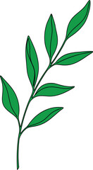 Simple green branch with leaves illustration on white background for design elements and nature concepts