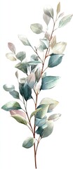 Watercolor eucalyptus branch with soft green, teal, and blush colored leaves