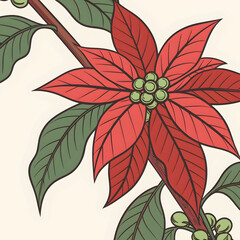 a red poinsettia with green berries