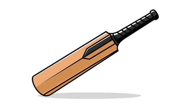 crickrt bat in vector form with white back ground