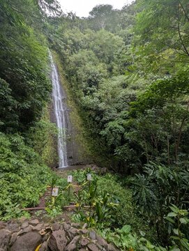Manoa Falls waterfall view Oahu Hawaii
