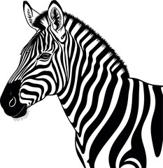 Detailed black and white zebra head profile vector illustration for safari wildlife themes nature conservation and animal logo design. © Md