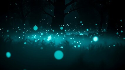 Mysterious glowing blue orbs illuminate the dark silhouettes of trees in an enchanted forest night