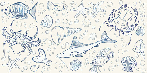 Sketch of marine life fish crab starfish octopus and seashell illustrations © Piku
