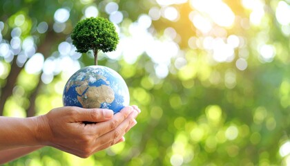 Hand Holding a Small Globe with Green Tree Symbolizing Environmental Care, Sustainability, and Global Responsibility in a Natural Setting