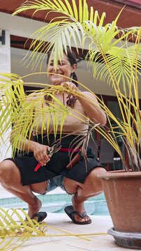 Woman gardener pruning a potted palm tree at home
