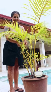 Hispanic woman pruning yellow palm tree fronds