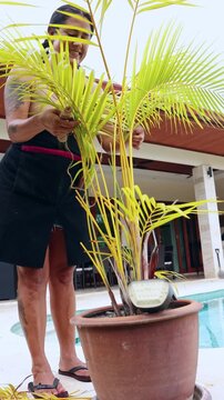 Tattooed woman happily caring for a potted palm tree at home
