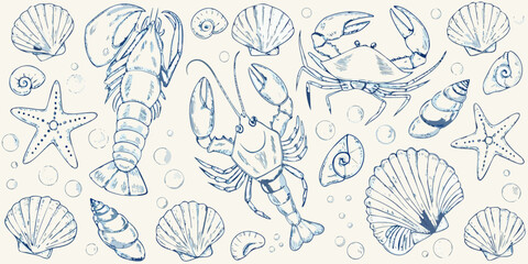 A vintage style illustration showcasing various marine life and seashells