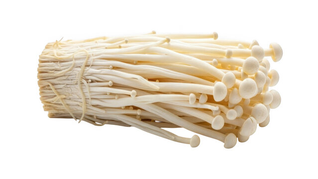 Bundle of enoki mushrooms isolated on transparent background