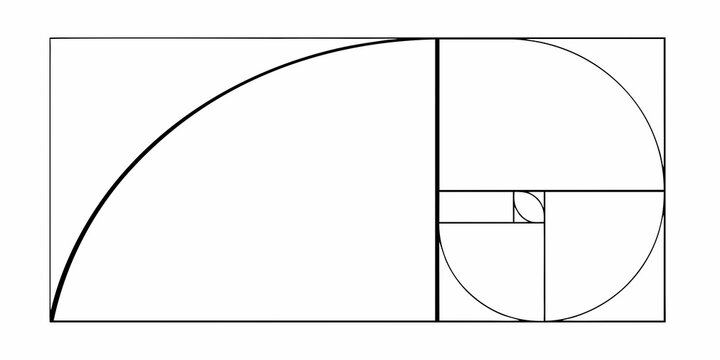 Golden spiral and rectangle illustrating mathematical proportions and the fibonacci sequence