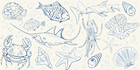 A collection of hand drawn marine life including fish shells and crustaceans © Sudebi