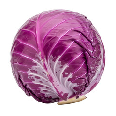 Obraz premium Red Cabbage Isolated Black Background