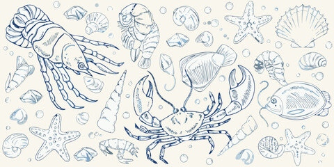 Detailed sketch of various marine life including crabs lobsters and seashells © Kabita