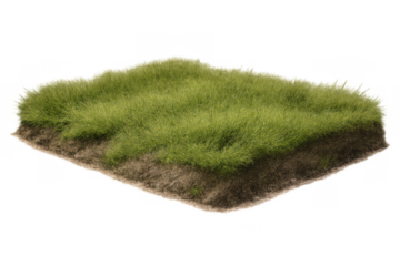 Green grass patch of soil with earth and roots on a transparent background, depicting ecology and nature concepts