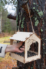 A hand of woman puts sunflower seeds into a bird feeder