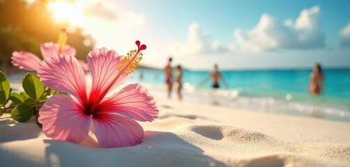 Fototapeta na wymiar Close view of pink hibiscus flower on sandy beach. People swim in blue ocean water. Sunny day on tropical island coast. Relaxing holiday scene.