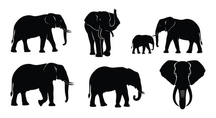 A collection of silhouettes depicting several elephants in various poses © MdNirob
