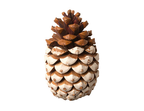 Detailed pine cone with white tips on scales