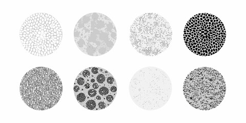 Variations in fingerprint patterns displayed as oval shaped grayscale textures